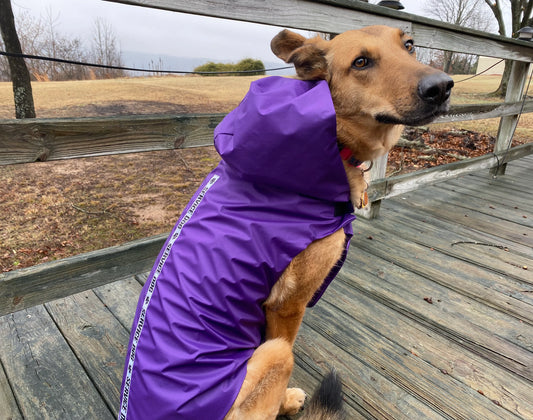 Service Dog Rain Gear and Wind Breaker Jacket, Service Dog Hoodie