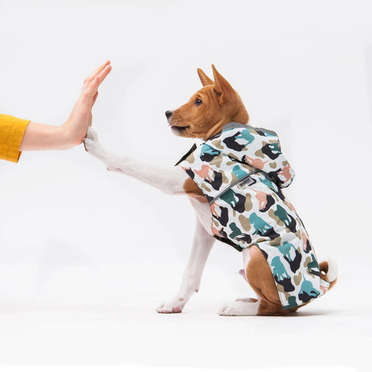 Etsy Design Awards Finalists - Raincoat for Dog - Pet Clothing - Dog Clothing - Dog Wear - Puppy - Gift