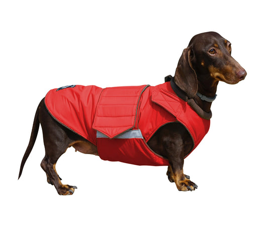 Dachshund Raincoat - Waterproof Dog Jacket with Belly Protection - Dog Clothes - Dog Rain Coat - Custom-Fit for Your Dog