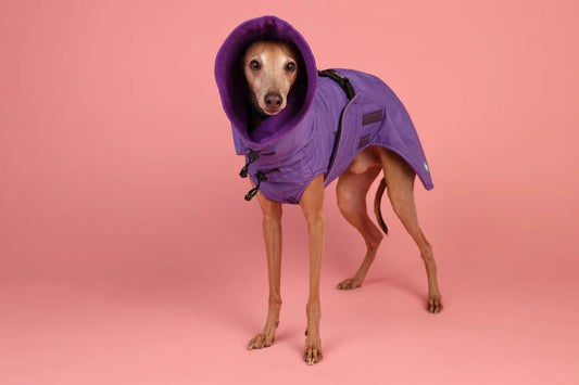Waterproof Dog Raincoat Monocolor Purple ALL Breeds, Mesh / Fleece Linning, Dog Rain Jacket, Waterproof Dog Coat, Dog Clothes, Bark&Go