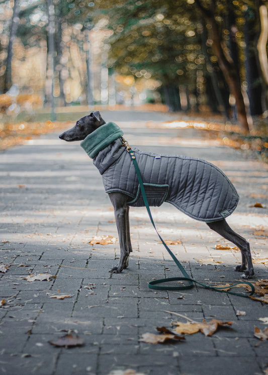 COAT with BELLY WARMER