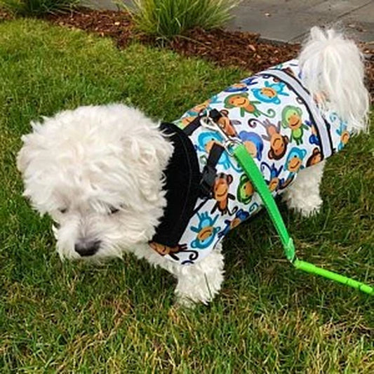New Silly Monkeys Print Dog Rain Jacket, Dog Raincoat, Dog Rain Coat, Dog Jacket, Dog Coat, Dog Jackets